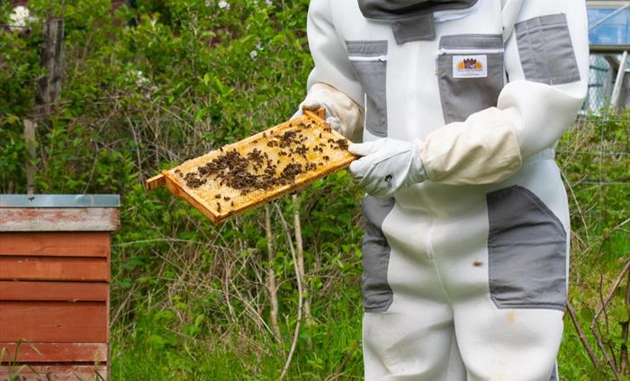 Nigel - Host and Resident Bee-Keeper